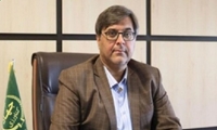 آغاز عملیات حفاظت فیزیکی نخلستان‌ها در جنوب کرمان با هدف مقابله با سرخرطومی حنایی خرما